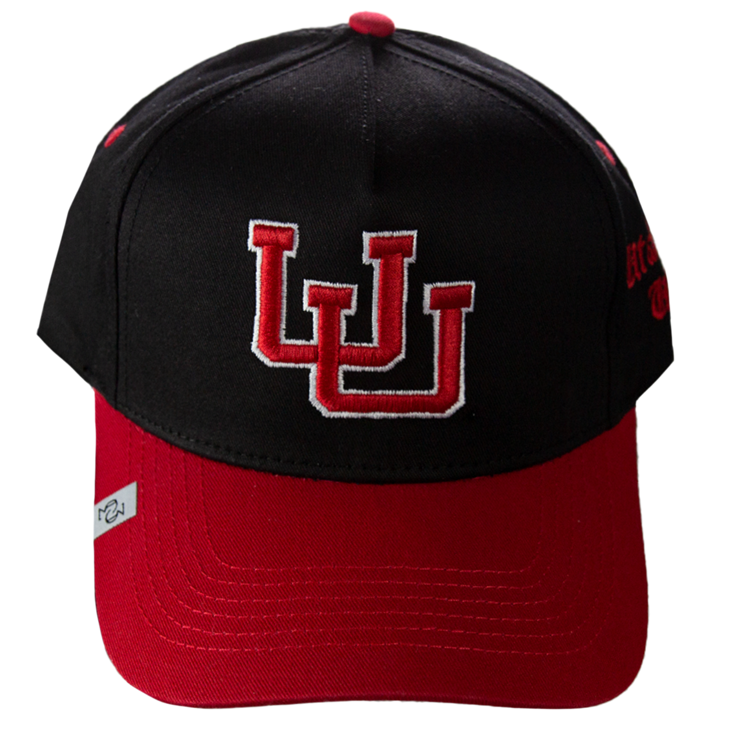 THE (VINTAGE U OF U BLACKOUT) HAT