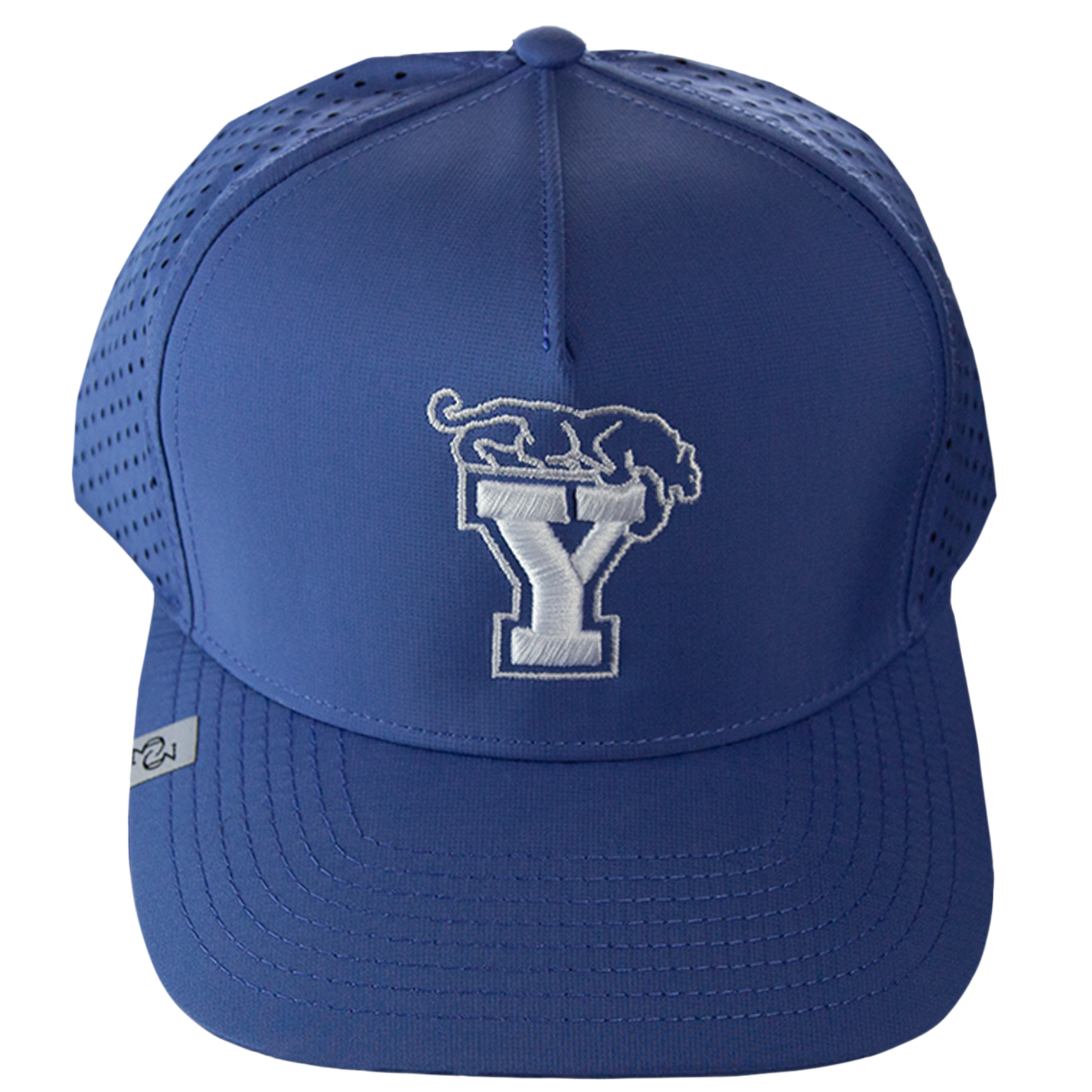 PERFORMANCE (BEETDIGGER Y) HAT