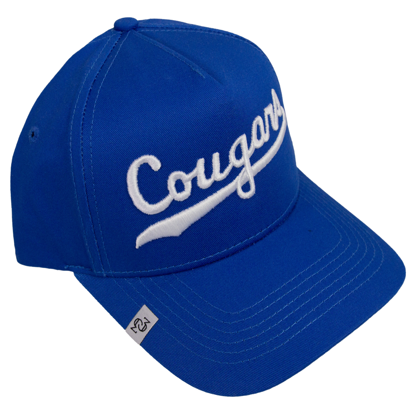 THE COUGARS HAT