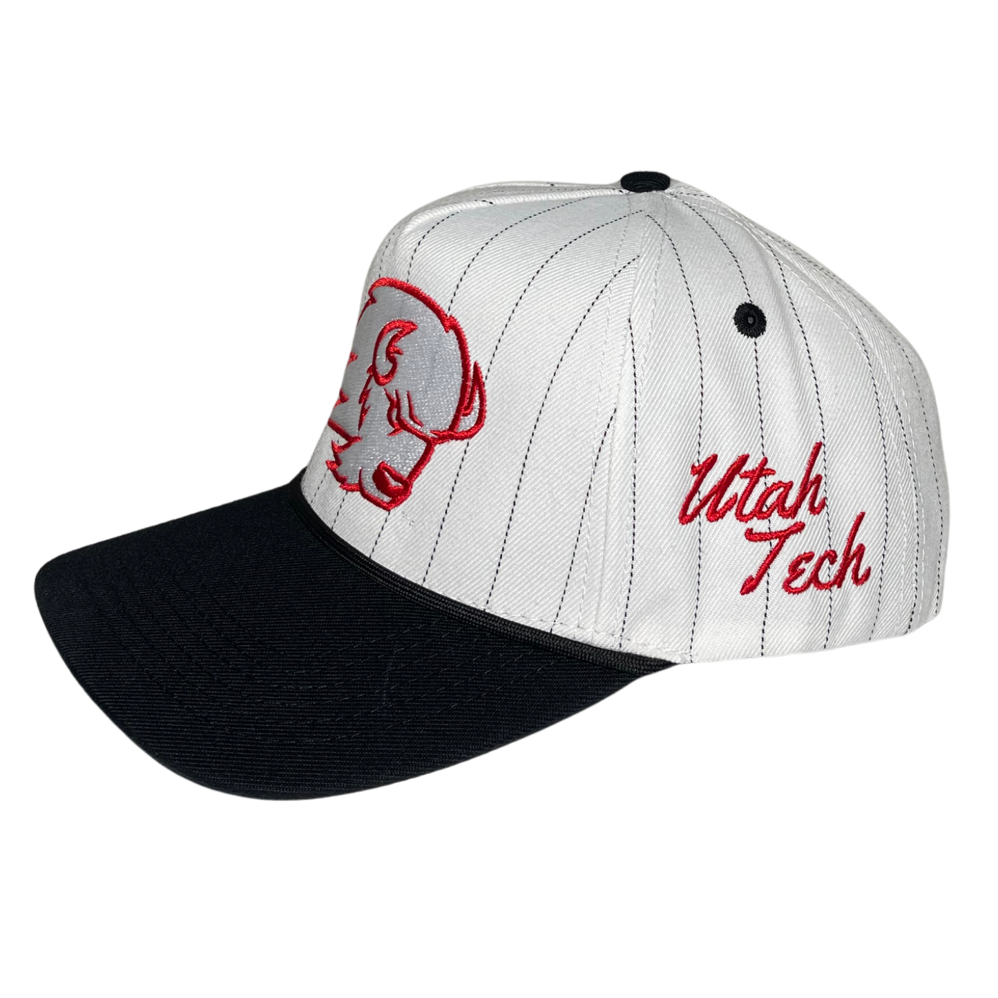 NEW - TRAILBLAZER PINSTRIPE HAT