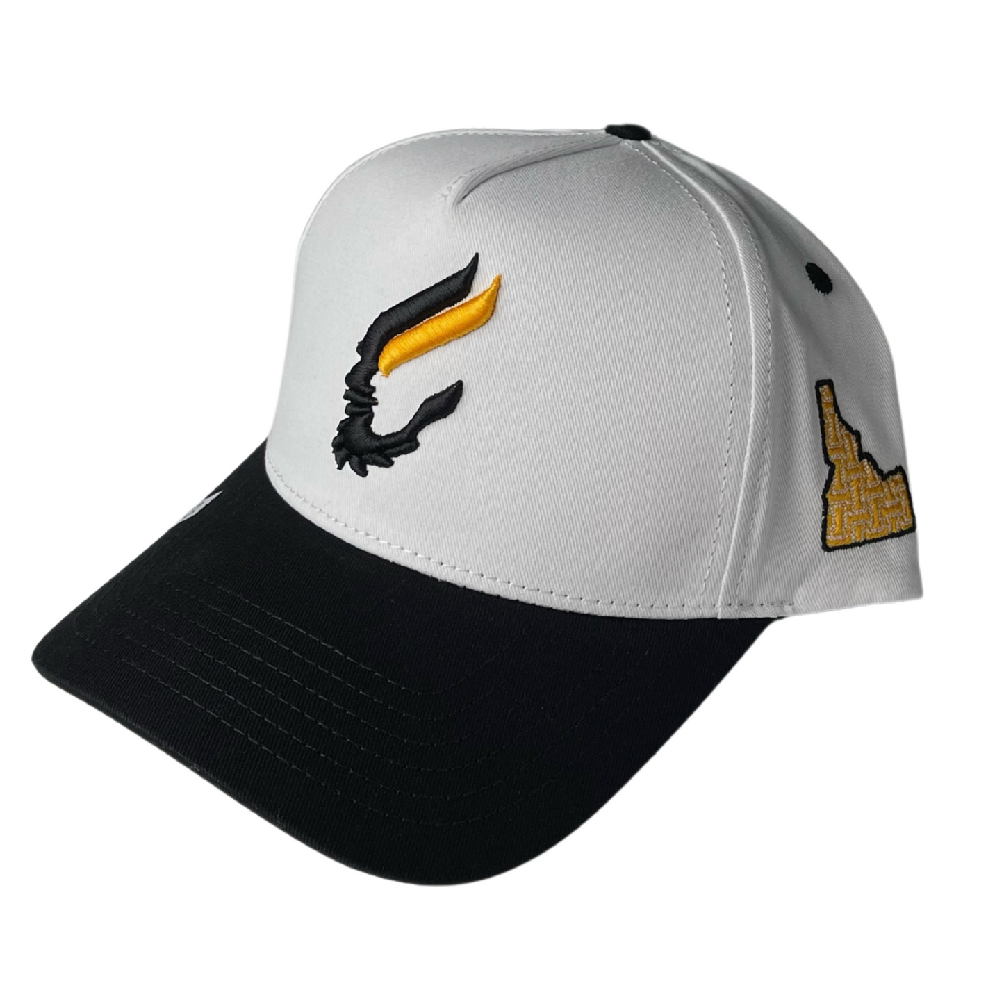 THE VINTAGE VANDAL HEAD HAT
