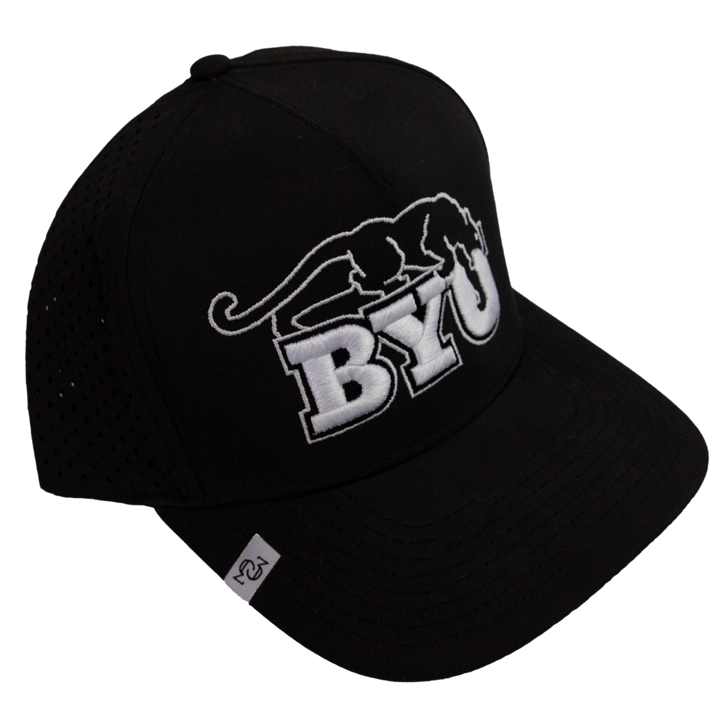 PERFORMANCE (BEETDIGGER BYU) HAT