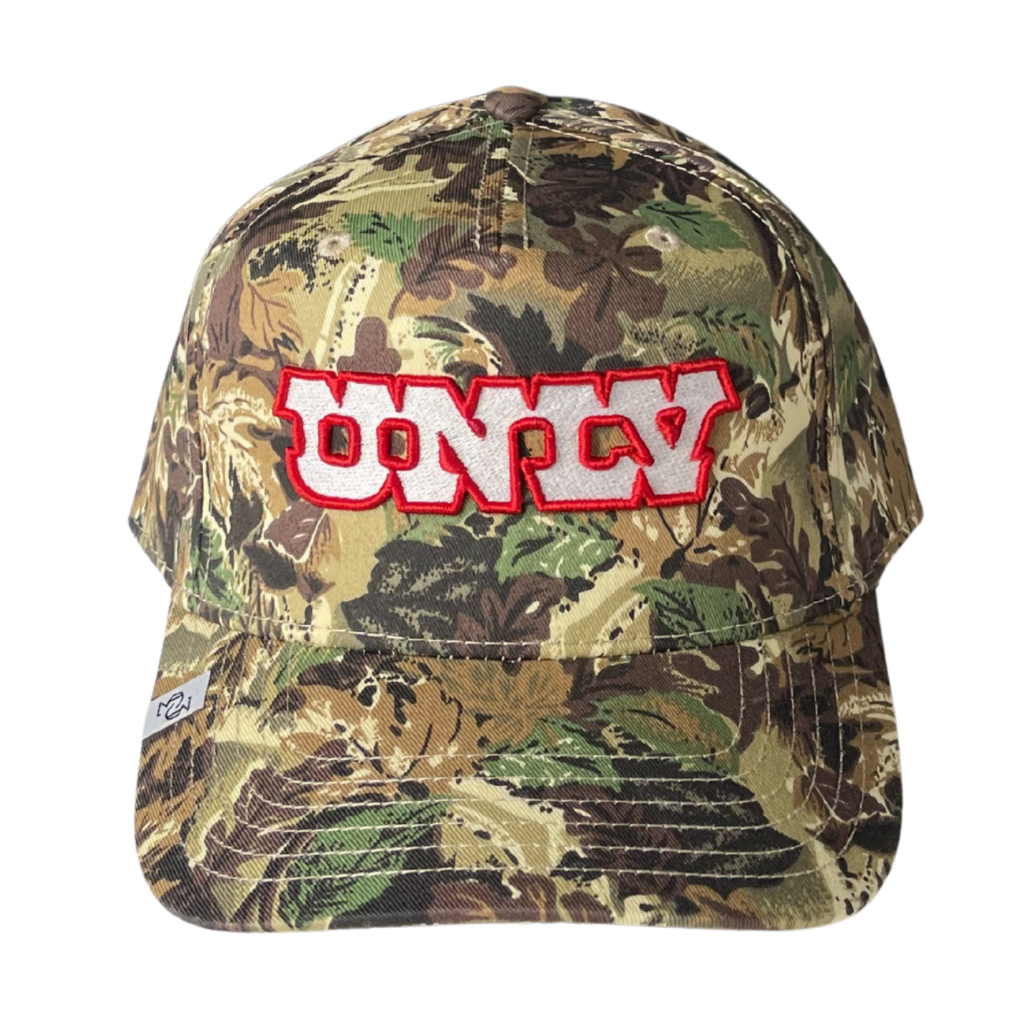THE UNLV CAMO