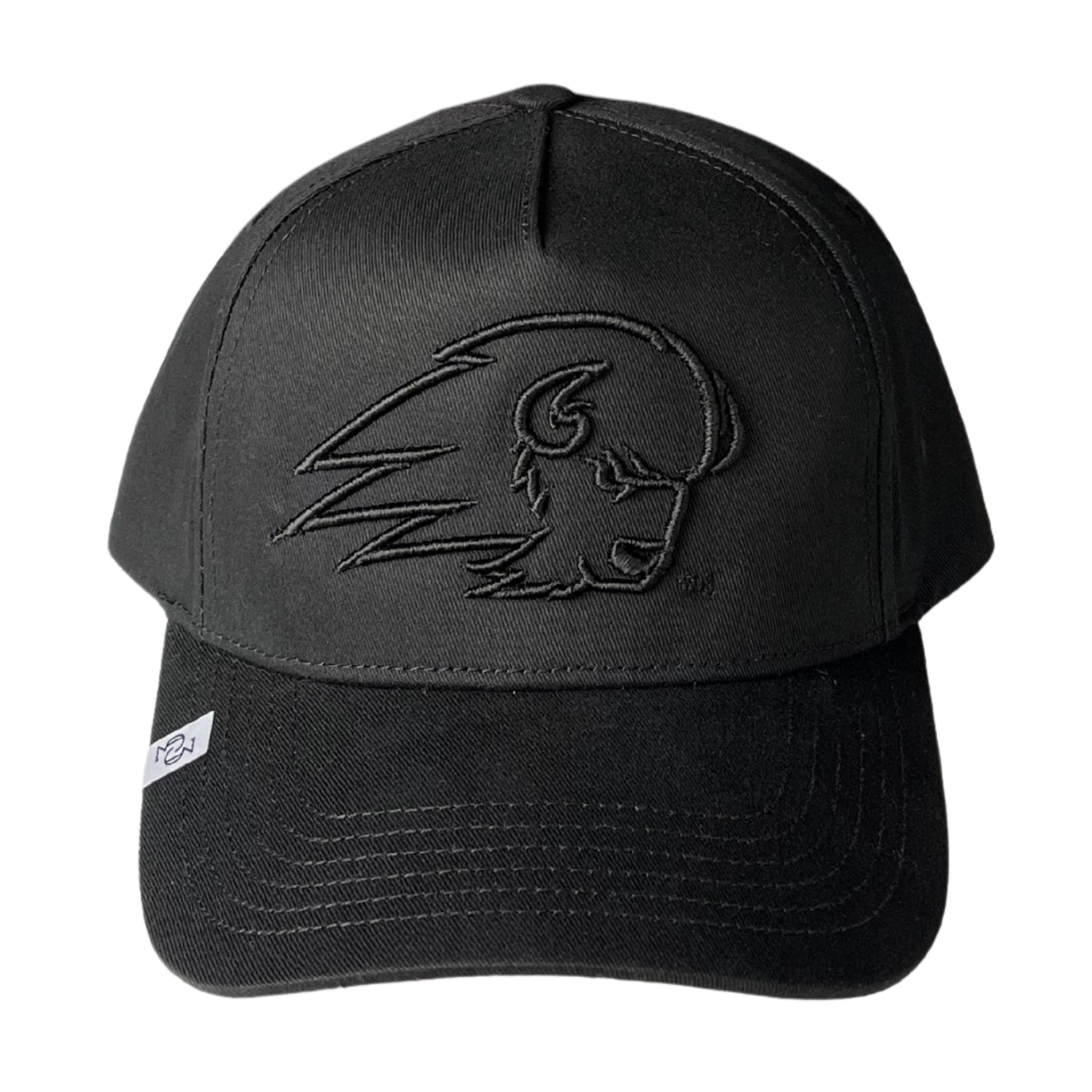 THE BISON BLACKOUT
