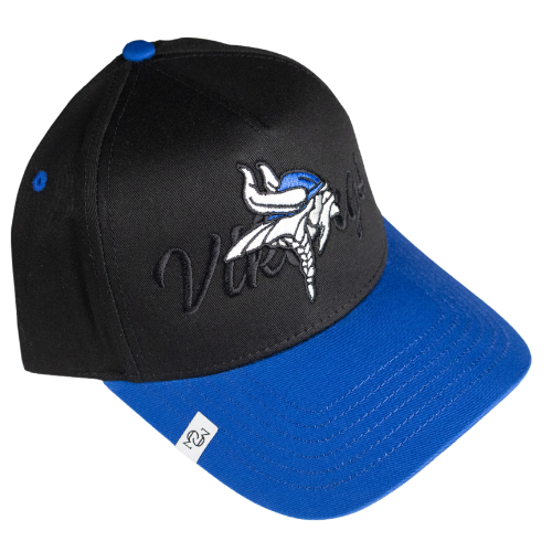THE (SCRIPT VIKING) HAT