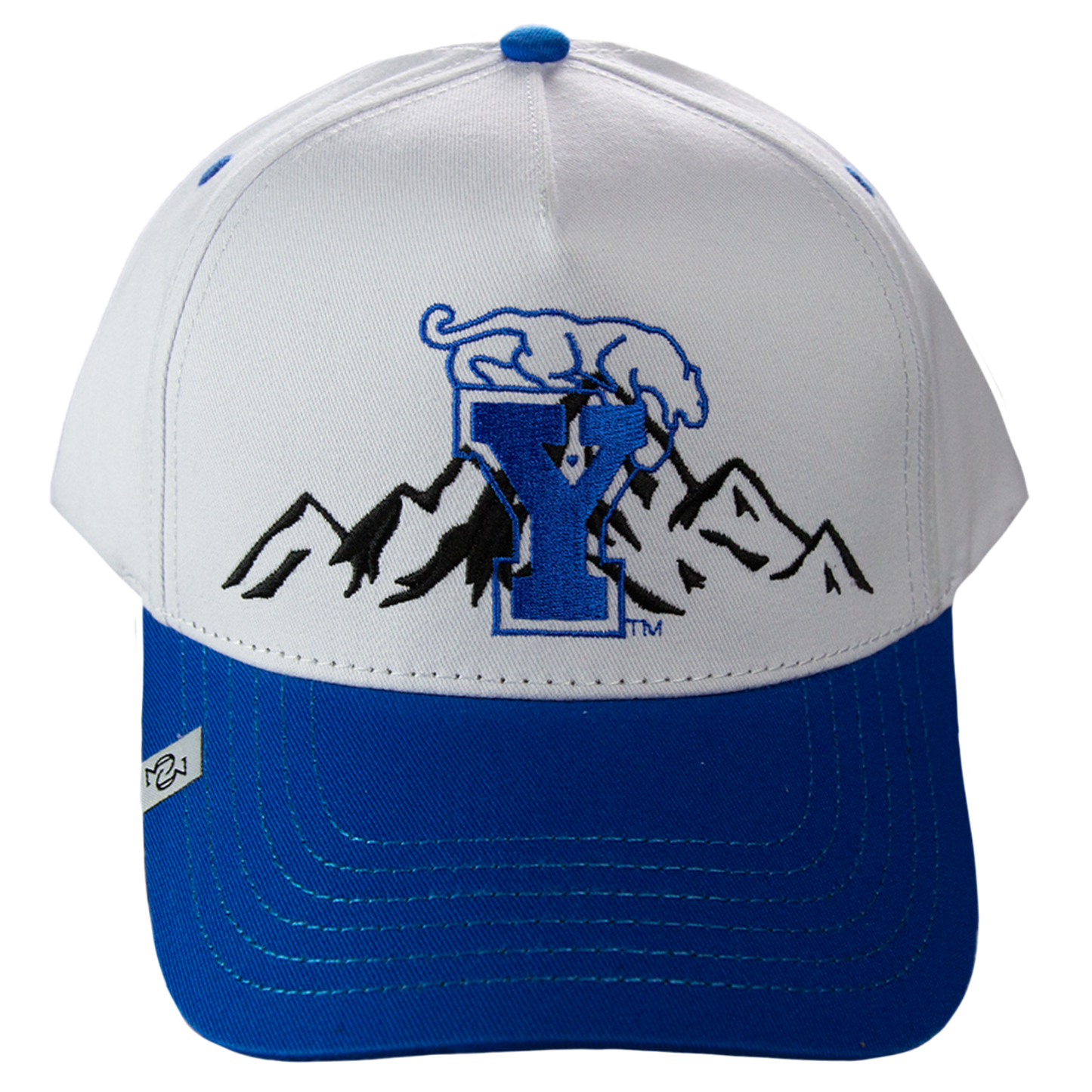 * THE (Y MOUNTAIN) HAT