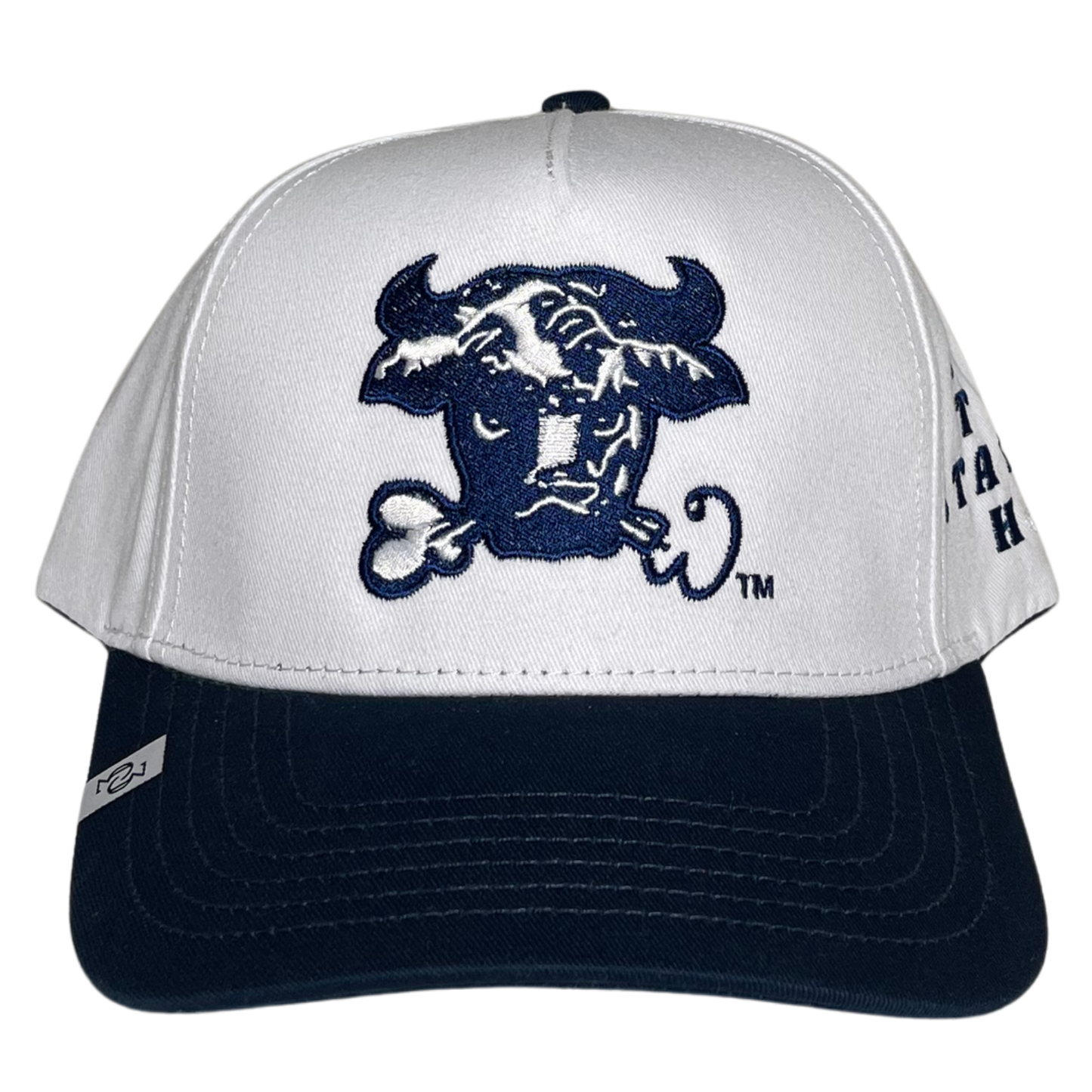 NEW - VINTAGE BULL UTAH STATE HAT