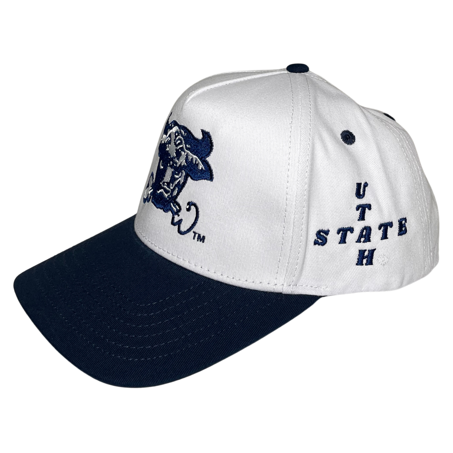 NEW - VINTAGE BULL UTAH STATE HAT