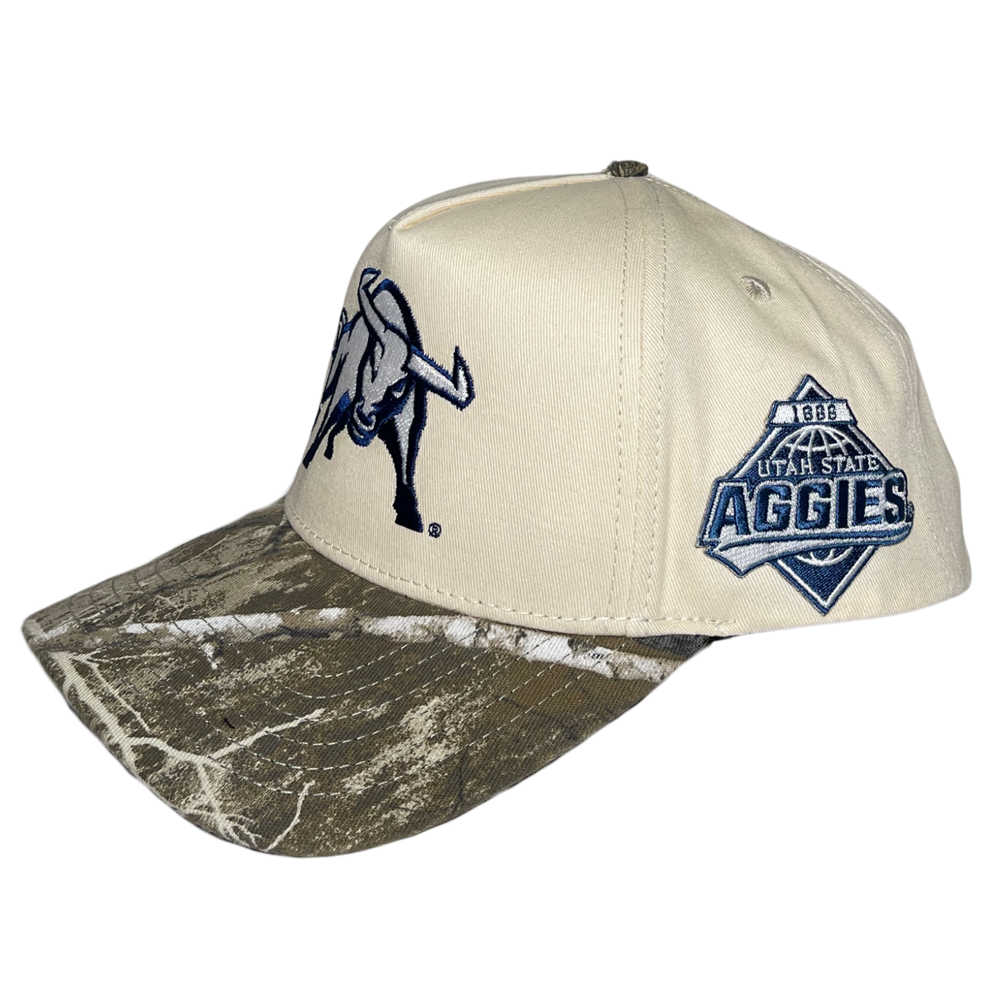 NEW - AGGIES BULL HAT