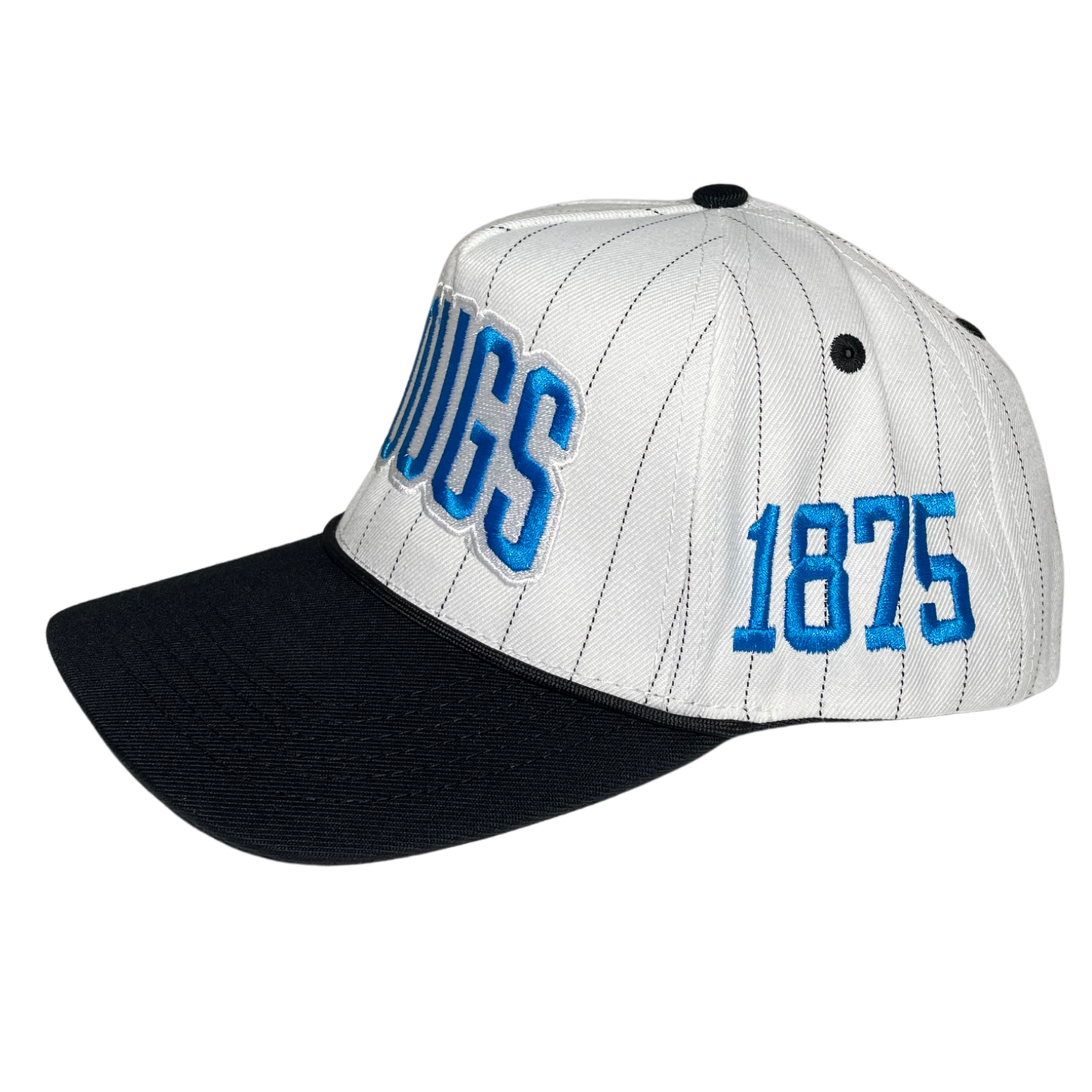 NEW - BYU COUGS PINSTRIPE HAT