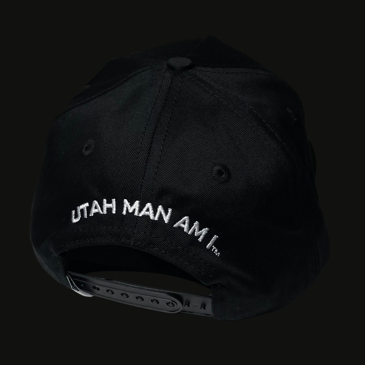 NEW - UTAH MAN AM I HAT