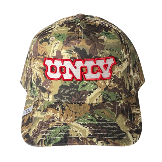 THE UNLV CAMO