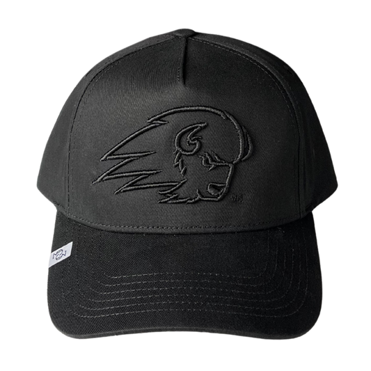 THE BISON BLACKOUT