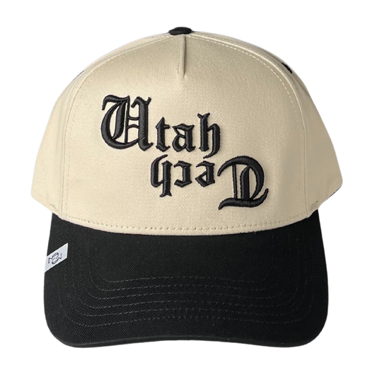 THE FLIPPED UTAH TECH