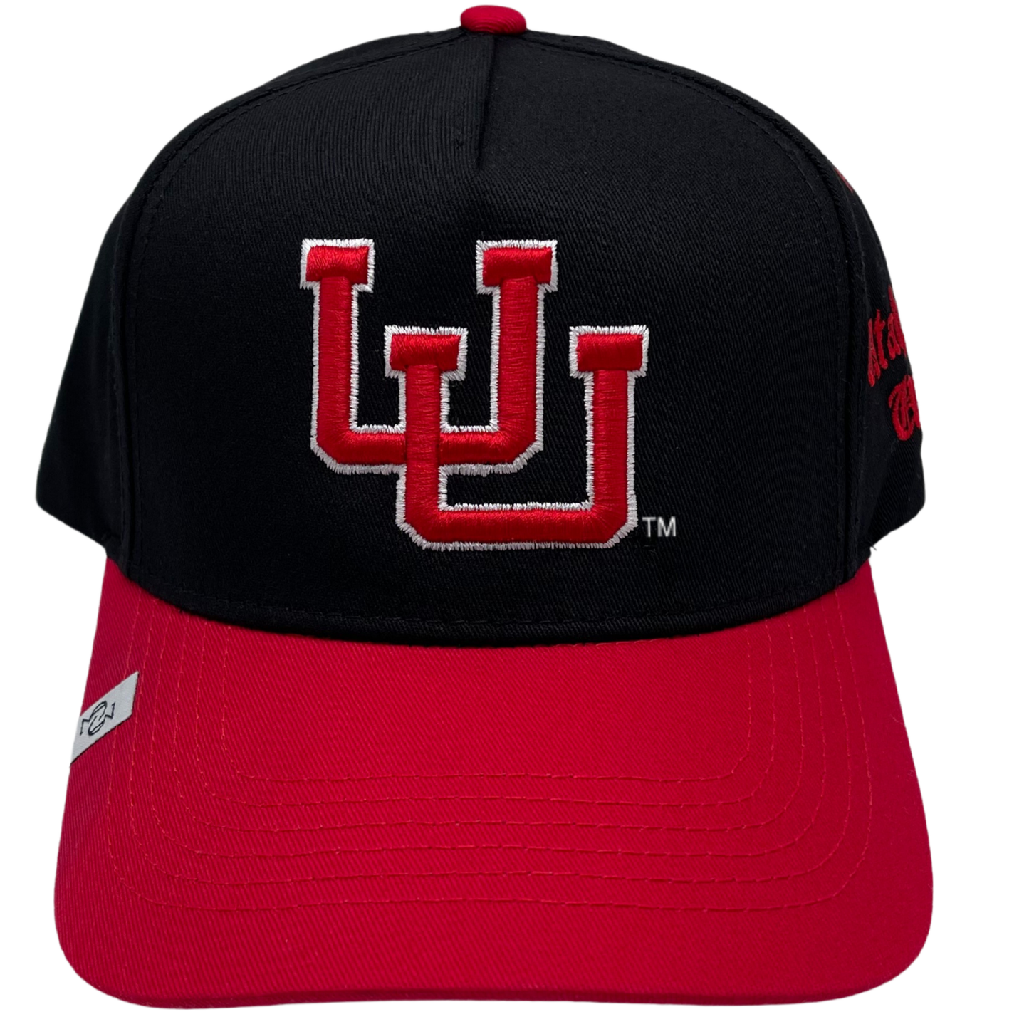 * THE (VINTAGE U OF U BLACKOUT) HAT